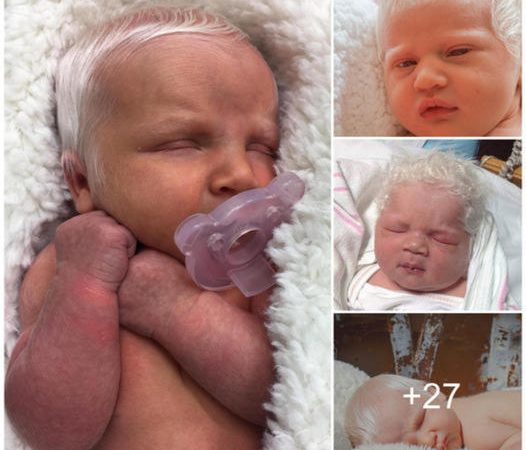 In a World Touched by Magic: The Enchanting Newborn with Platinum Hair