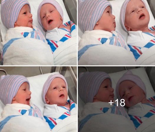 Heartwarming Moment: Twin Babies, Just One Hour Old, Share Their First ‘Conversation’