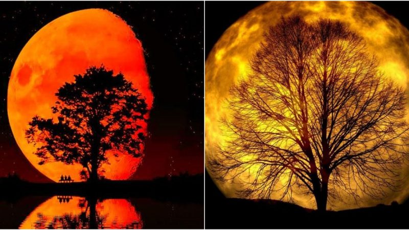 The Enchantment of Supermoons: Illuminating the Night Sky and Mesmerizing Humanity.