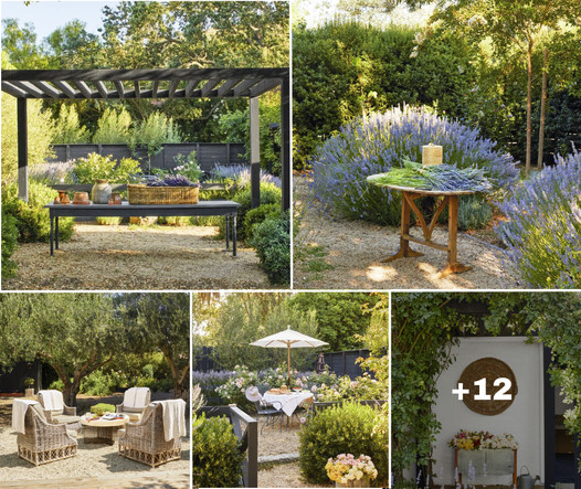 From Dry Dirt to Lush Paradise: The Remarkable Transformation of a California Home’s Yard