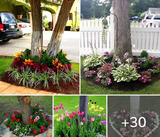 Enhancing Your Yard’s Elegance: Flower Ideas for Under Trees