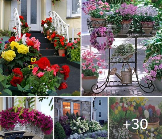 Enhance Your Porch with Delightful Decorations and Blooms