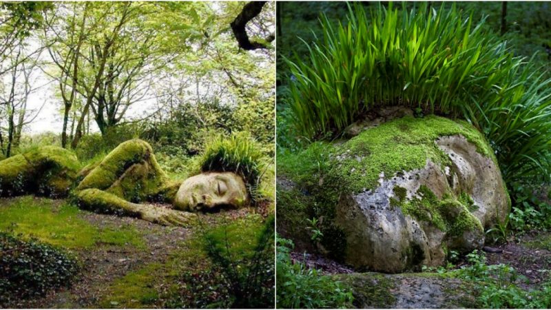 “Living Sculptures at The Lost Gardens of Heligan: Evolving Masterpieces Year-Round”