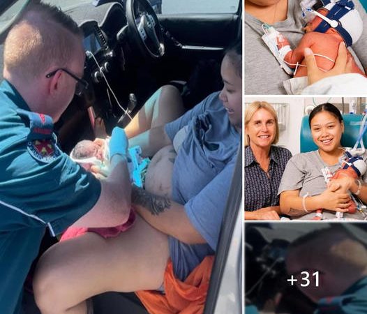 A Miraculous Roadside Birth: Queensland’s Unforgettable Moment