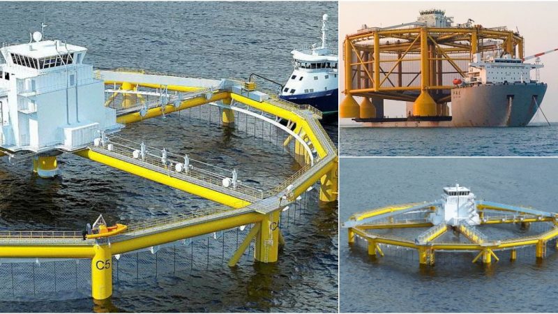 Revolutionizing Aquaculture: China Unveils World’s Largest Automated Fish Cage for Sustainable Fish Farming