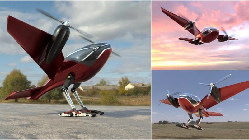 Introducing the Pelican: Fulfilling Future Air Mobility Needs with eVTOL Technology