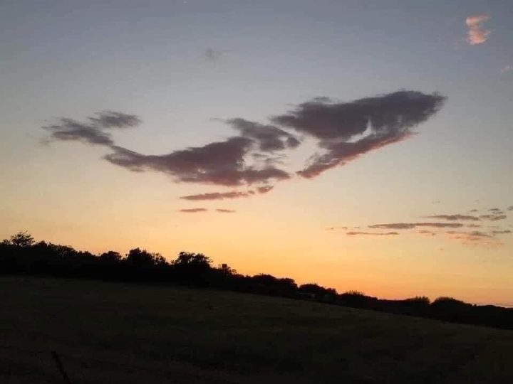 Look: Sky Whale Spotted over Texas; The Science of Pareidolia Explained🌅☁️