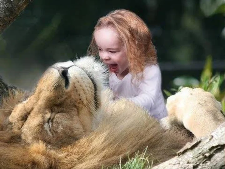 Miraculous lion saves little girl from human traffickers